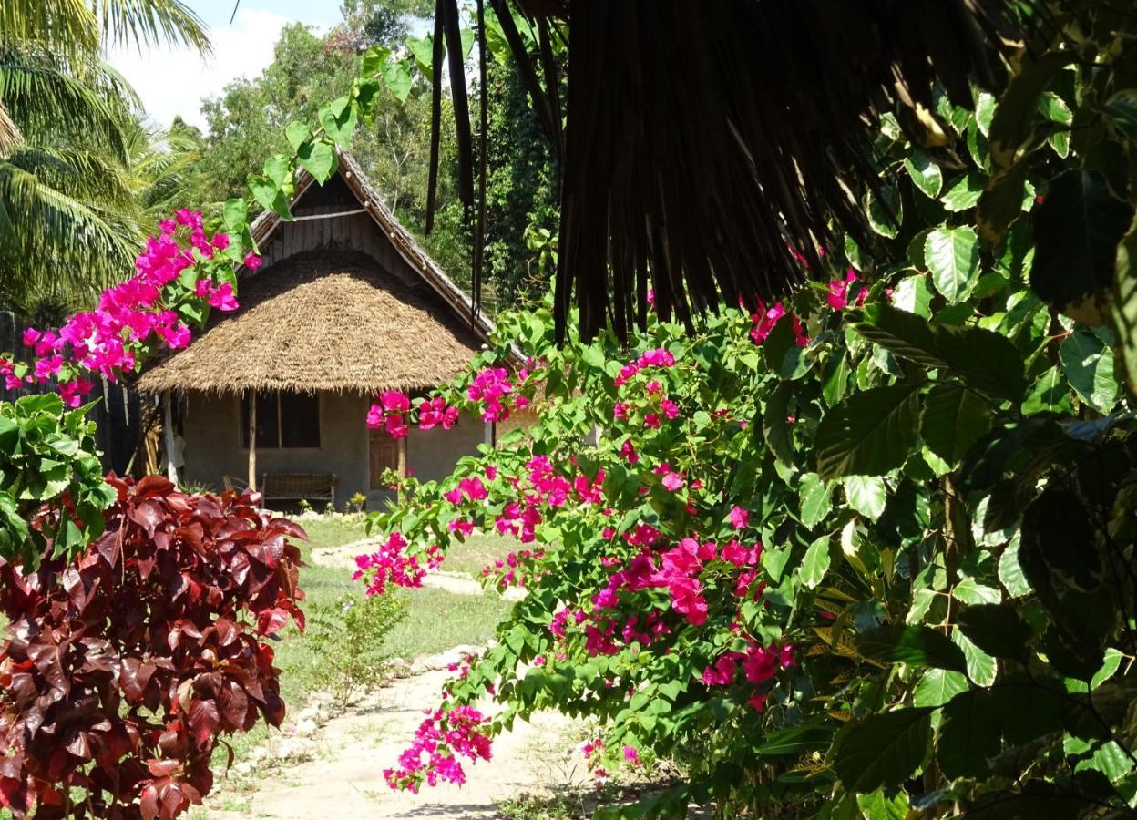 Jabar Lodge Zanzibar Εξωτερικό φωτογραφία